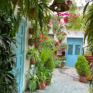 https://apartamento-la-vejer-de-la-frontera.es-andalucia.com